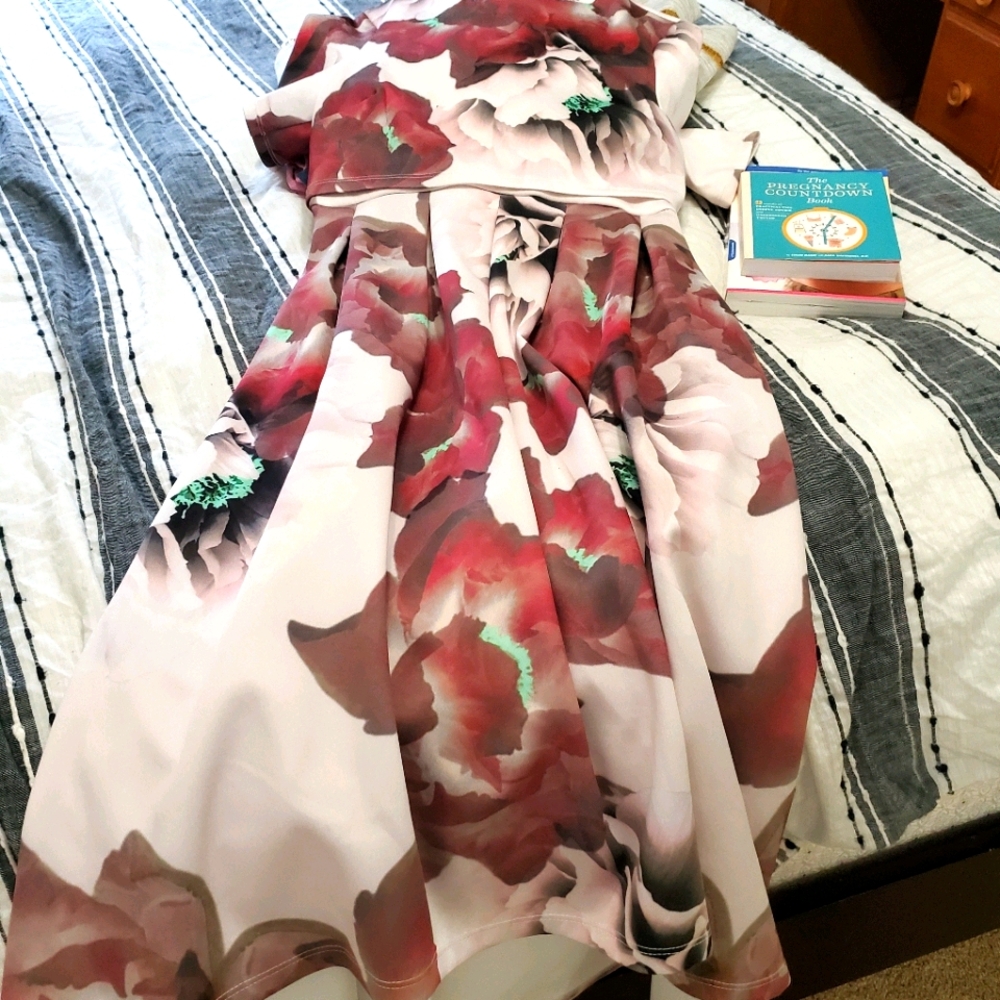 ASOS Maternity & Nursing Dress